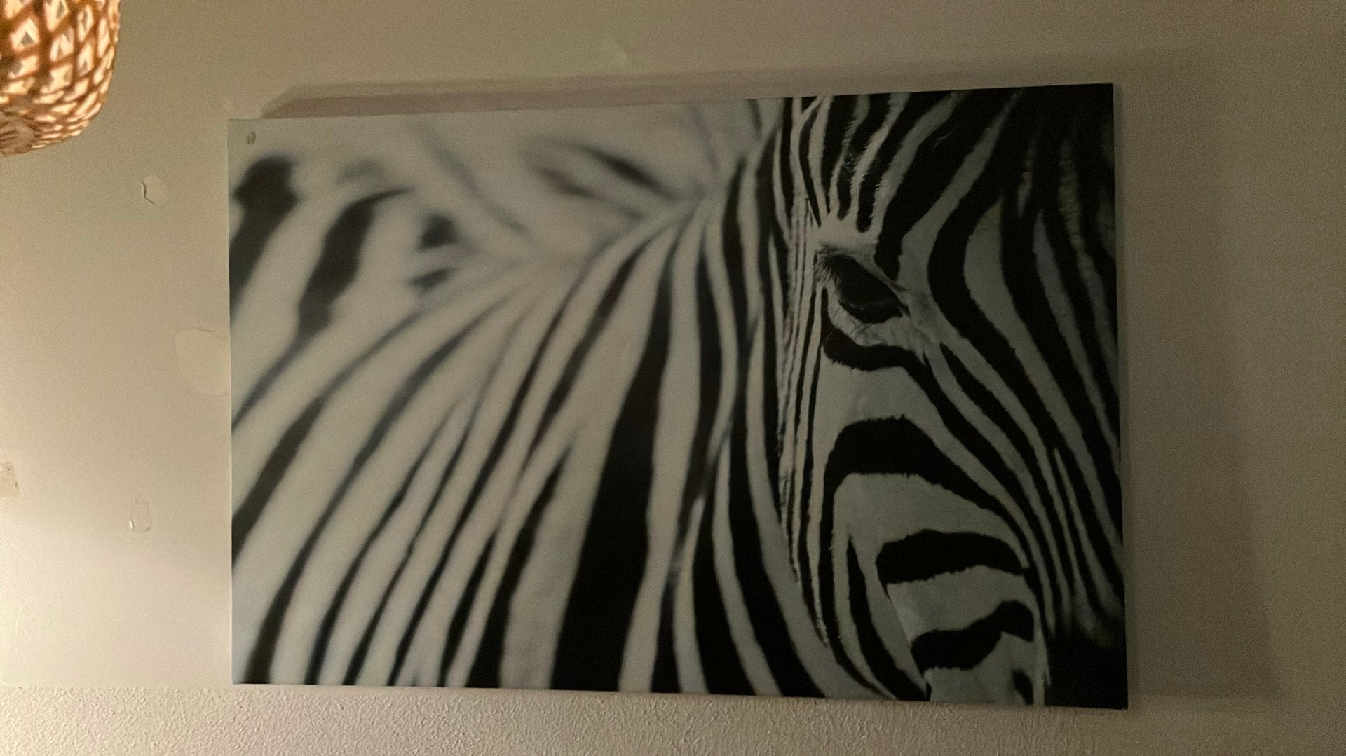 Zebra schilderij, Ophalen