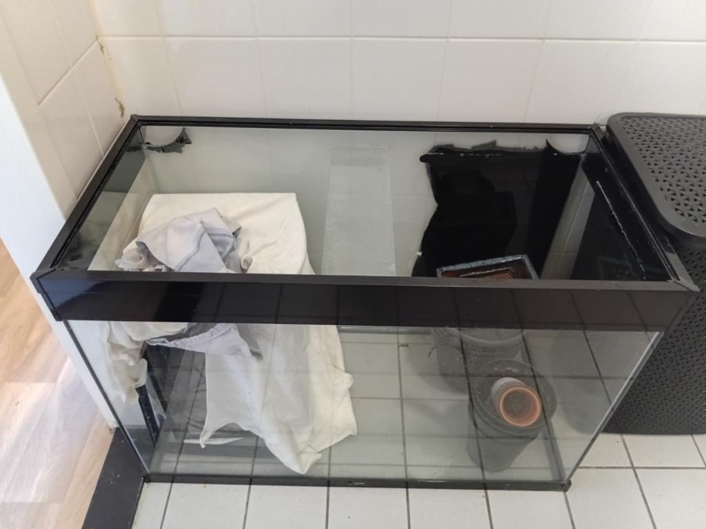 Aquarium leeg 80 x 40  x 60 cm 120 L, Dieren en Toebehoren, Vis