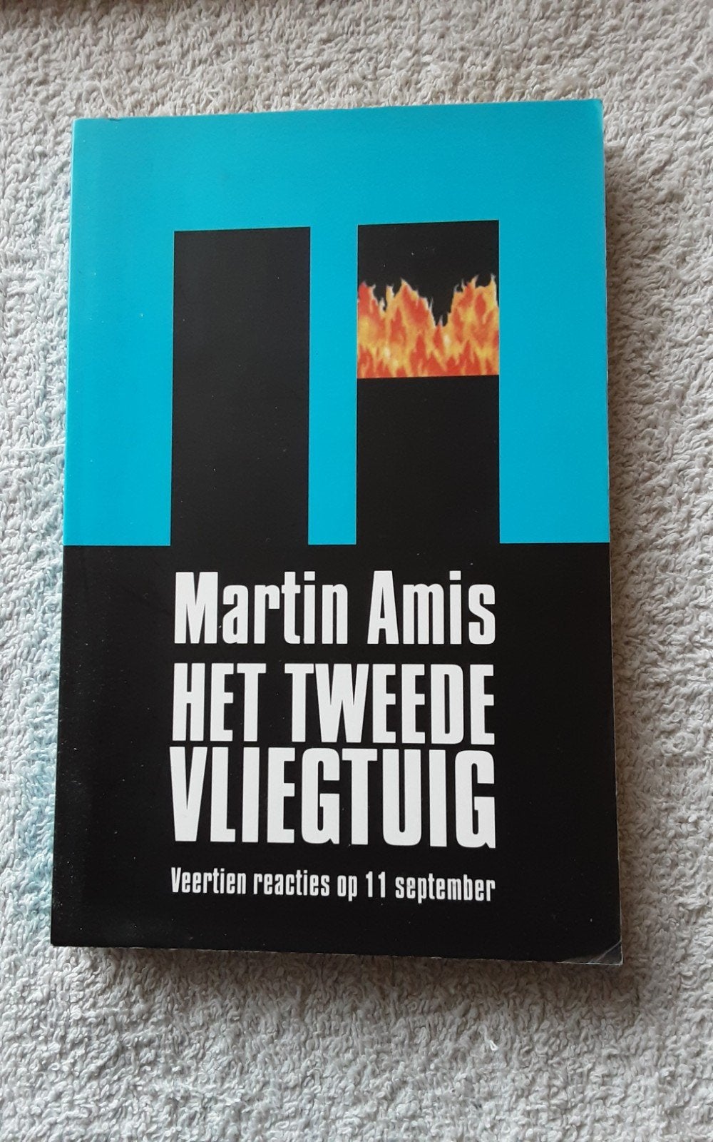 Martin Amis - Het Tweede Vliegtuig (Paperback), Ophalen of Verzenden, Gelezen, Martin Amis, Nederland