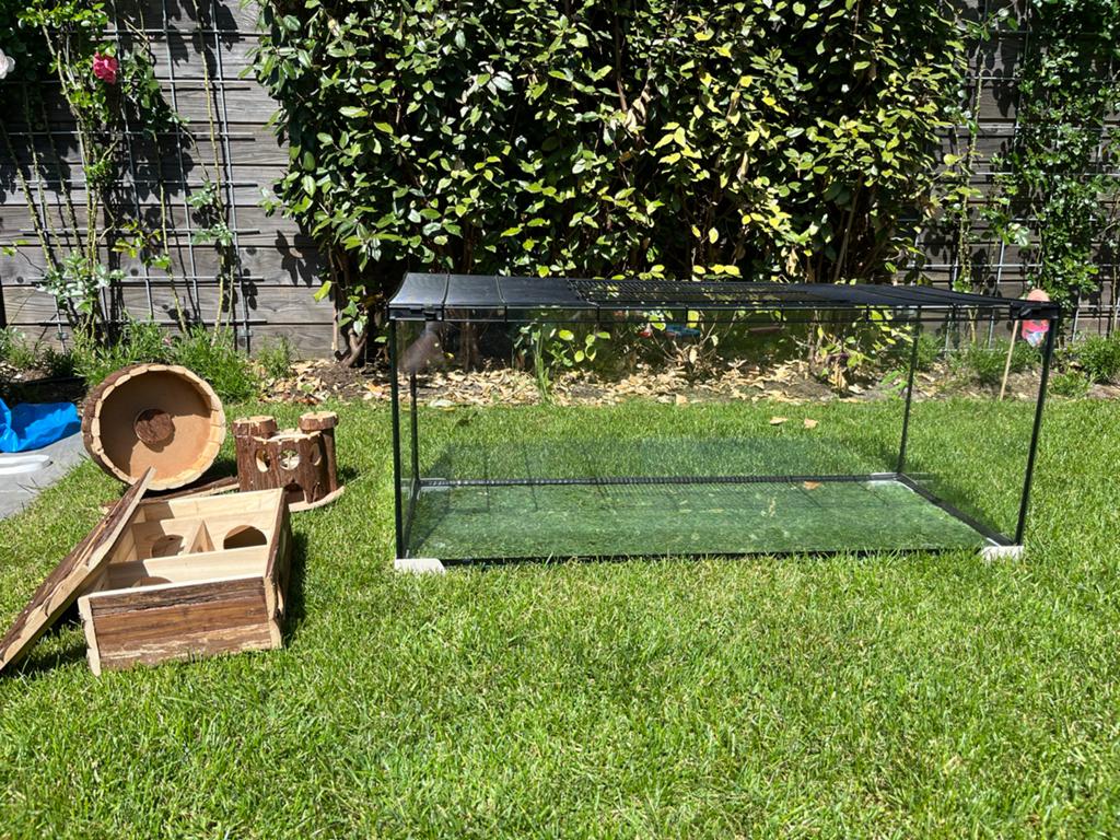 Ferplast Jerry knaagdierenhok glas 1 meter breed, Minder dan 60 cm, Muis, Ophalen of Verzenden, Zo goed als nieuw