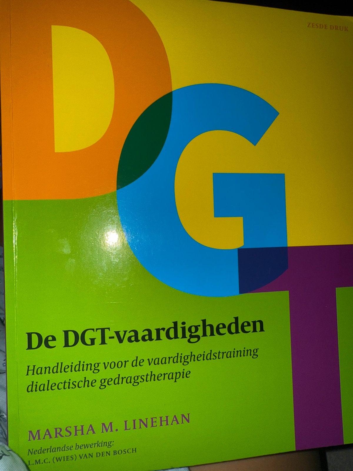 NIEUW De DGT-vaardigheden: dialectische gedragstherapie, Ophalen of Verzenden, Gamma, Zo goed als nieuw, HBO