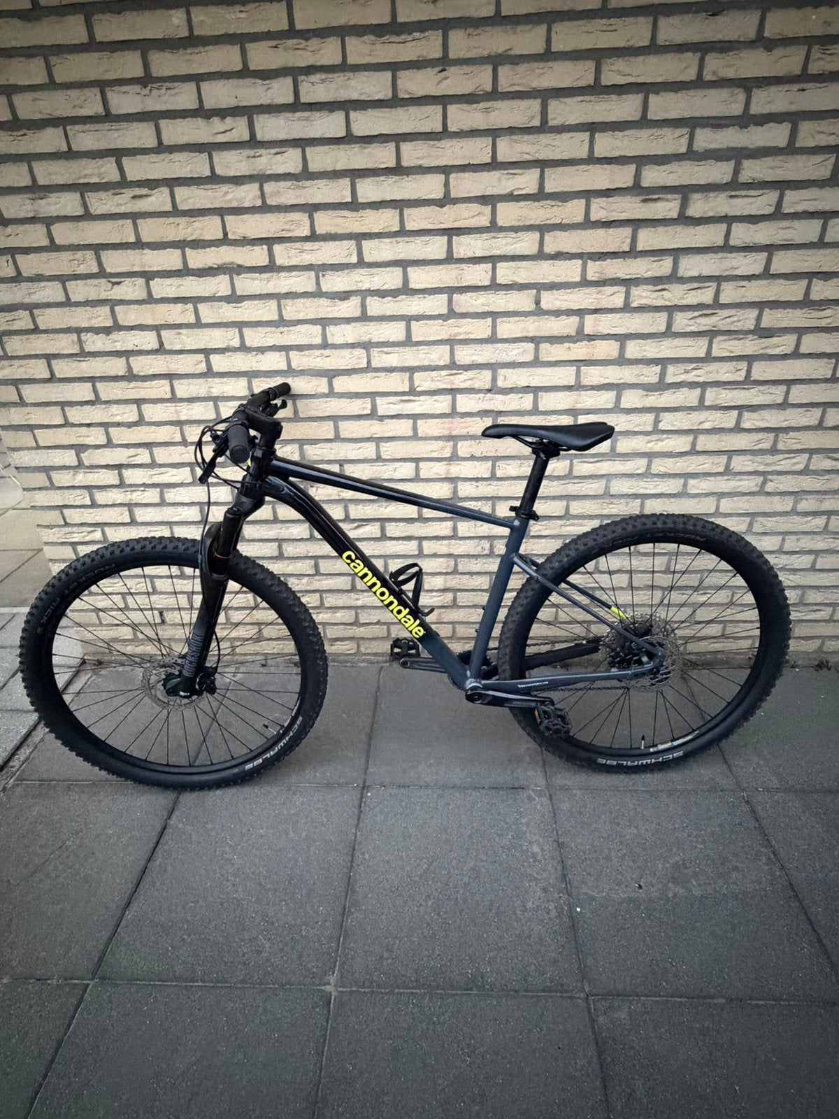 Cannondale Trail SL2 29 inch, Gebruikt, Hardtail, Schijfrem, Ophalen