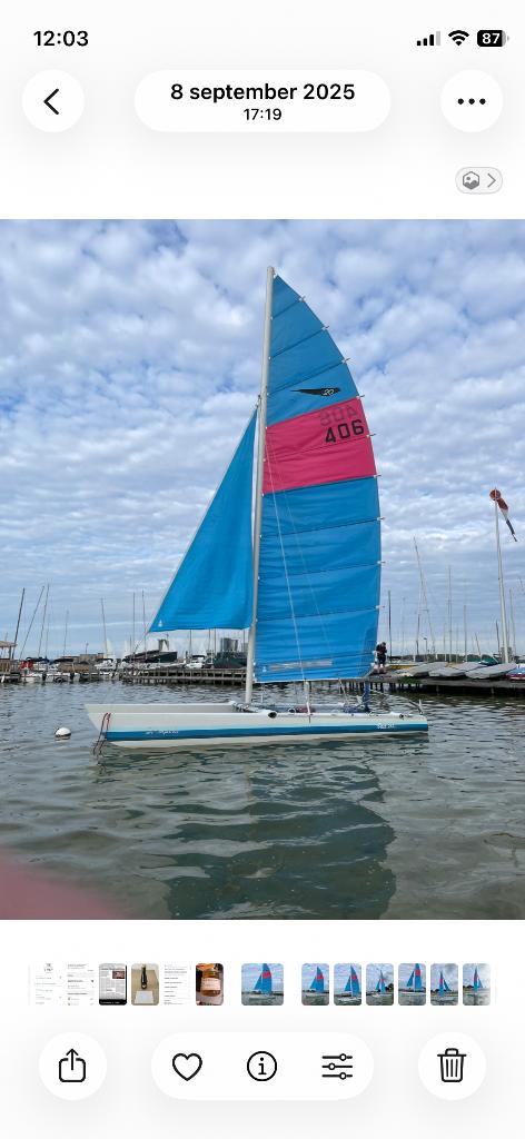 Dart 20 catamaran, Watersport en Boten, Catamarans, Ophalen, Gebruikt, Dart