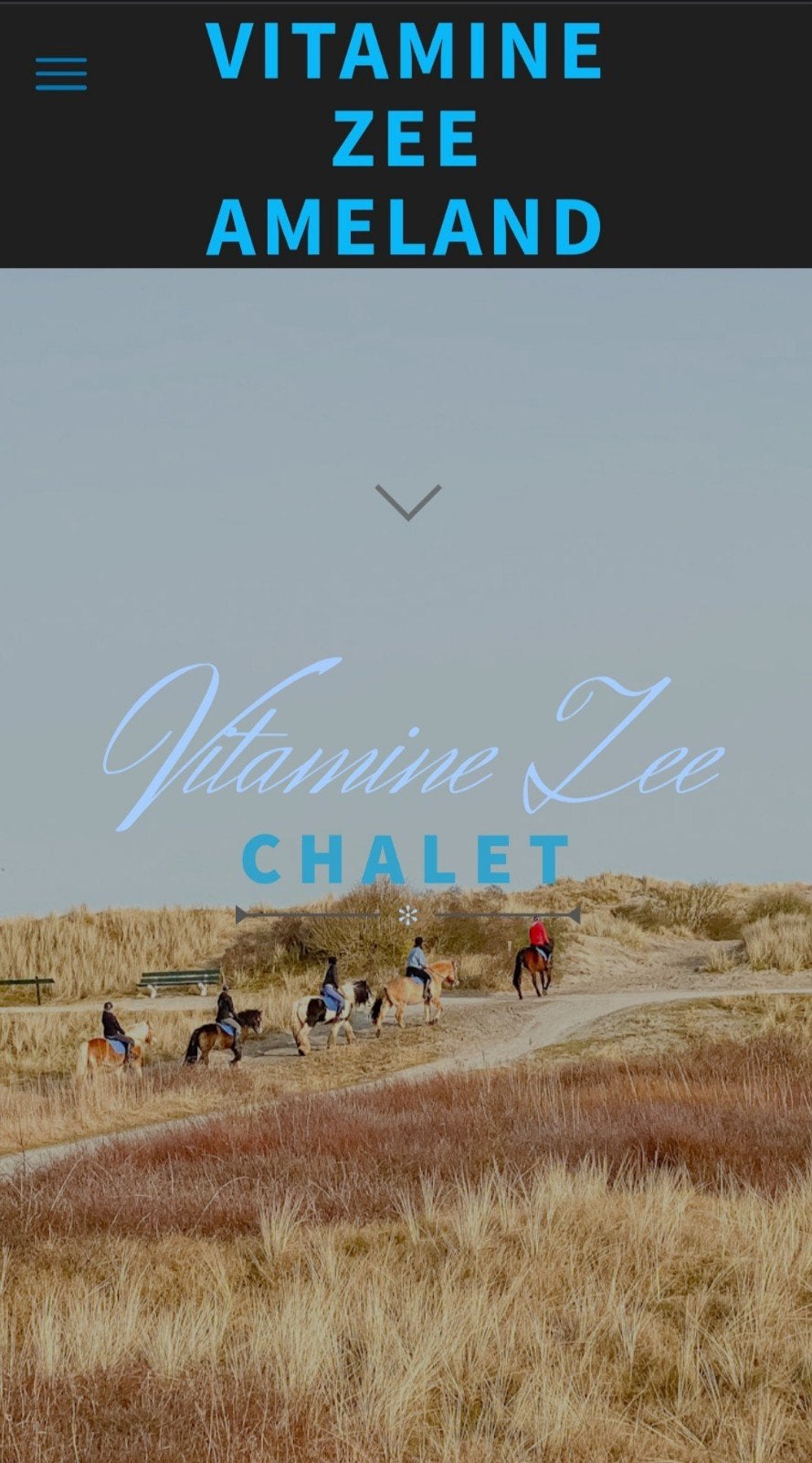 Te huur/verhuur 4pers. vakantie chalet Vitamine Zee Ameland