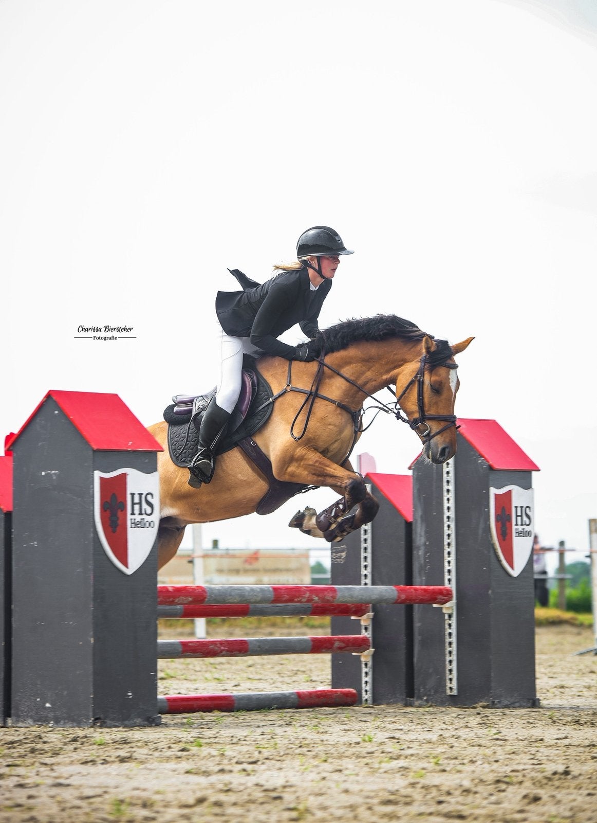 Stoere veelzijdige ruin!, Dieren en Toebehoren, Paarden, Ruin, 3 tot 6 jaar, 160 tot 165 cm, Met stamboom
