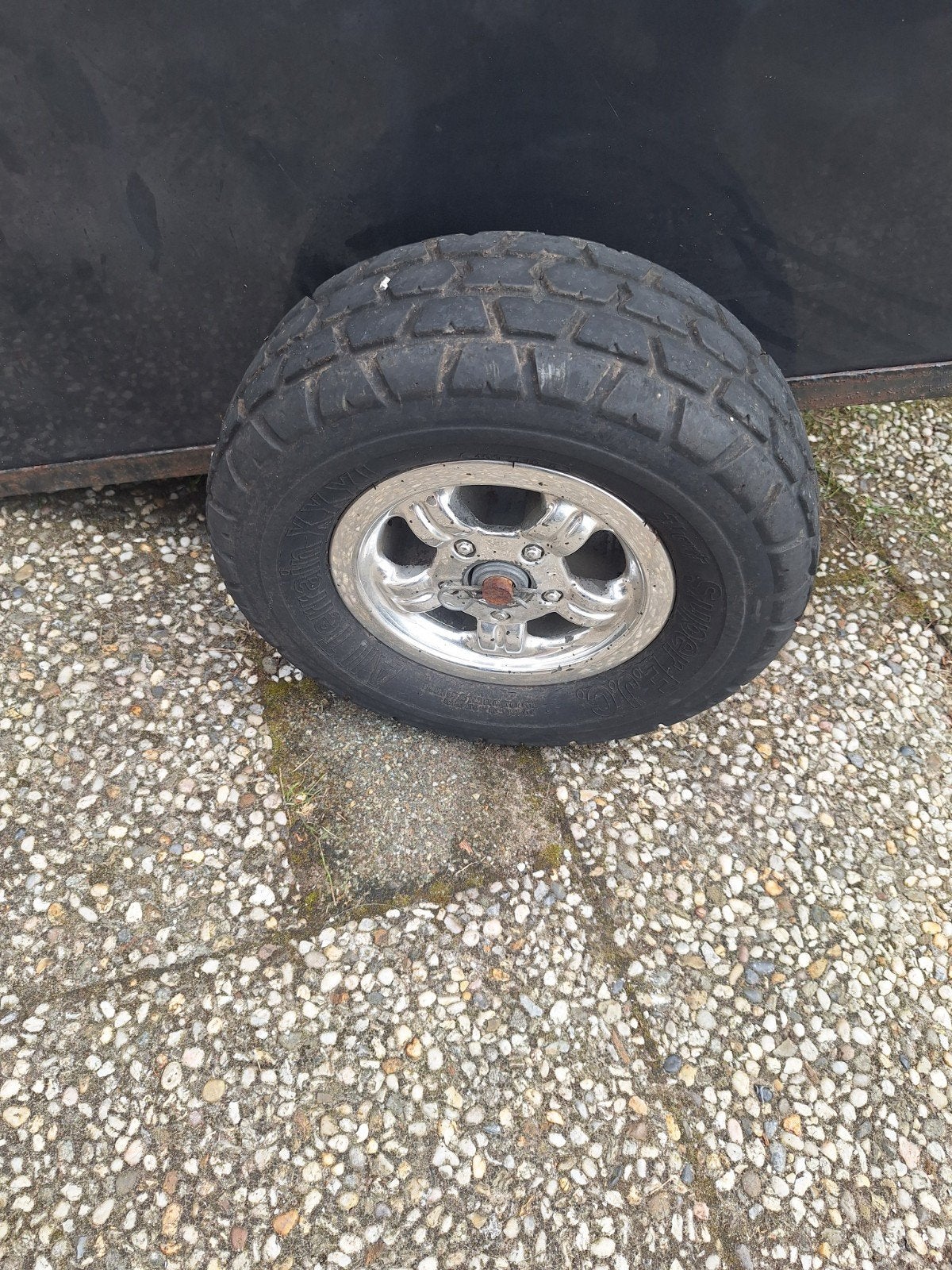 viskar, Ophalen of Verzenden, Nieuw, Overige typen