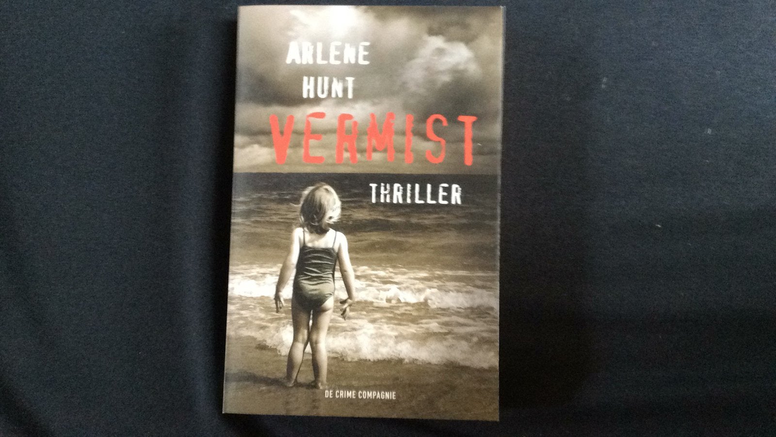 Arlene Hunt - Vermist, Boeken, Ophalen of Verzenden, Zo goed als nieuw, Arlene Hunt