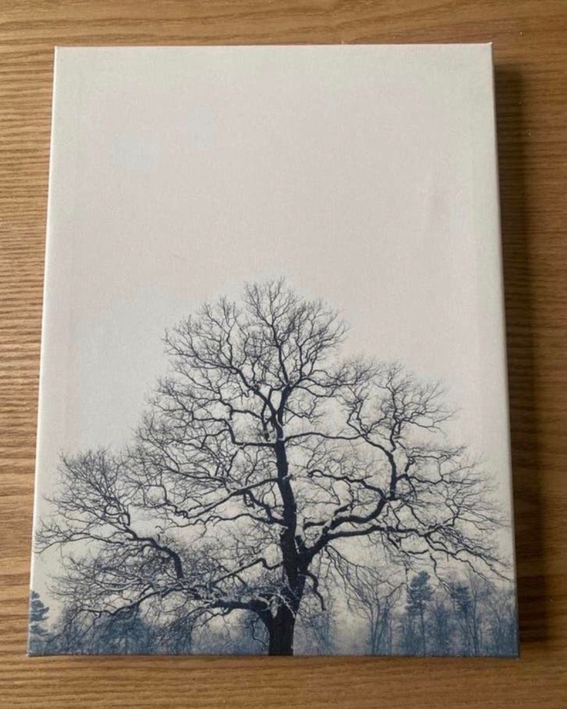 IKEA Canvas Print: Prachtige Boom (24x32), Huis en Inrichting, Ophalen of Verzenden, Zo goed als nieuw, Foto of Poster