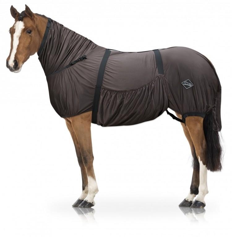 Chetaime Sweet-itch Eczeemdeken, Dieren en Toebehoren, Paarden en Pony's | Dekens en Dekjes, Nieuw, Maasbracht, Ophalen of Verzenden