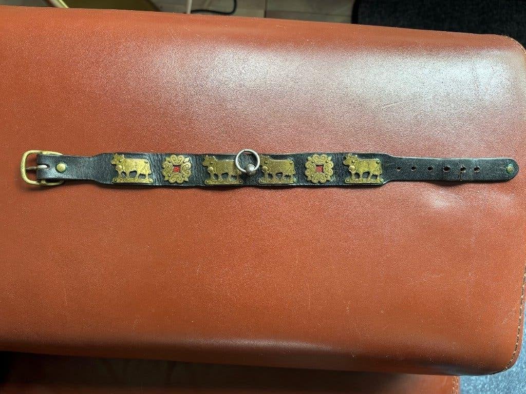 originele Beierse teckel halsband, Ophalen, Gebruikt