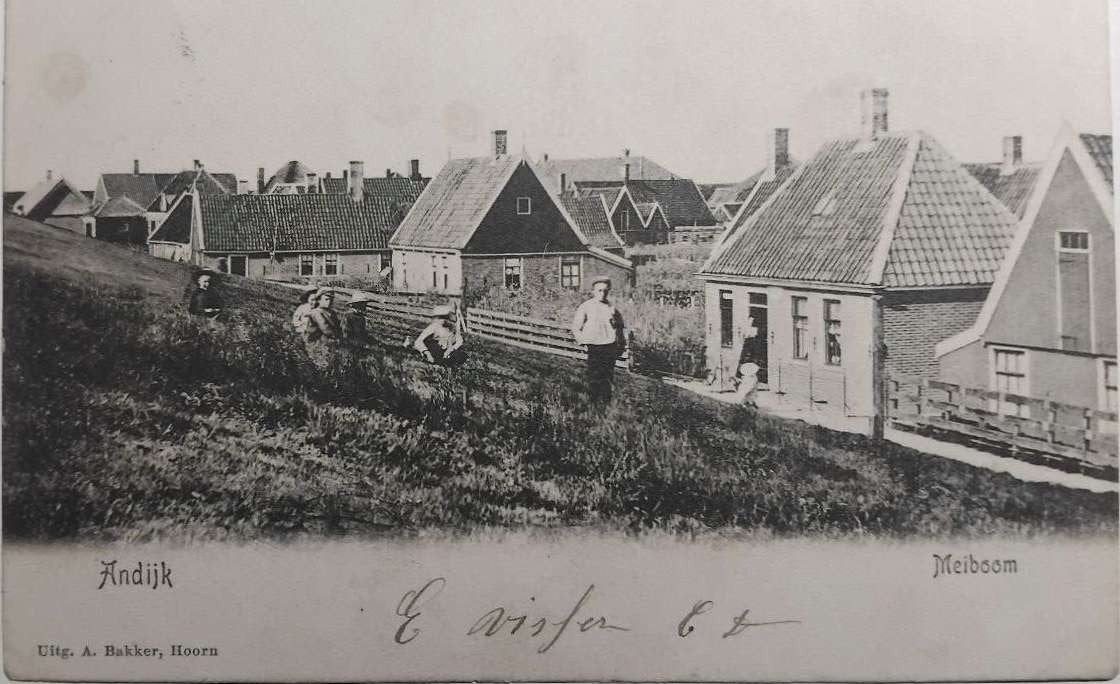 Andijk - Meiboom (Noord-Holland) ca. 1900, Ophalen of Verzenden, Voor 1920, Gelopen, Noord-Holland