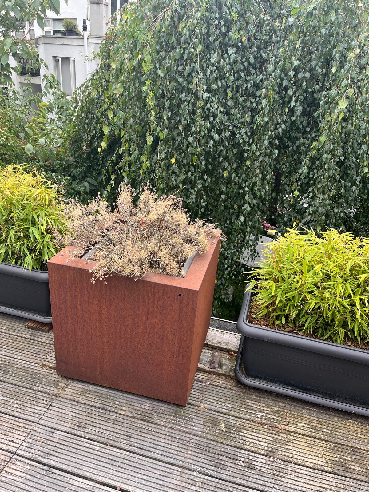 Cortenstaal Plantenbak 60x60x60cm met kunststof binnenbak, Ophalen, Gebruikt, Vierkant, Balkon