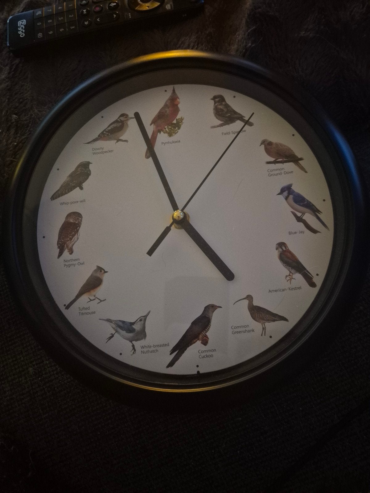 Vogel klok +geluid, Ophalen of Verzenden, Nieuw, Wandklok