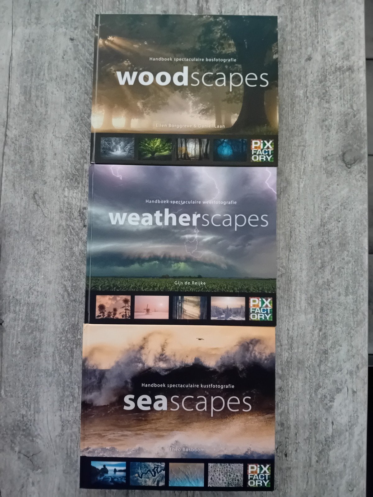 Handboeken Spectaculaire Fotografie, Boeken, Ophalen of Verzenden, Zo goed als nieuw, Fotografie algemeen, Ellen Borgreve, Daniël Laan, Gijs de Reijke, Theo Bosboom