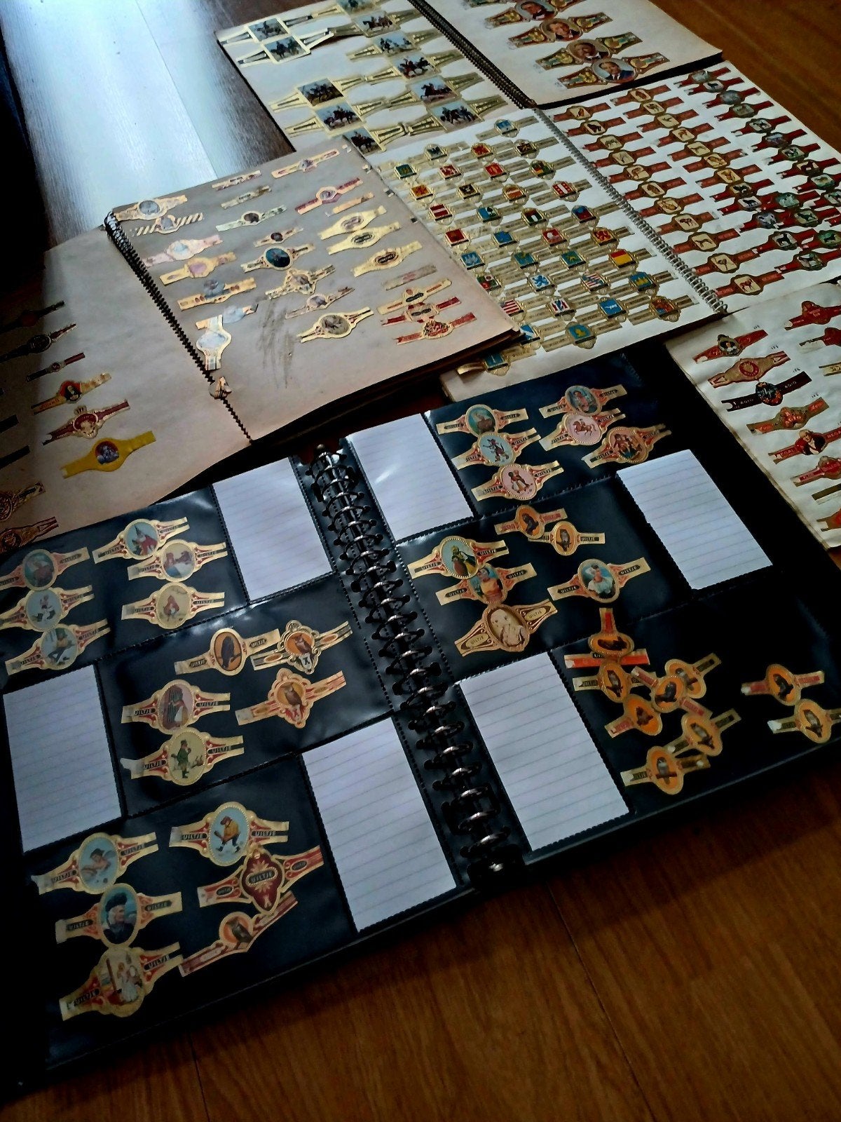Grote collectie sigarenbandjes in albums en los, Ophalen, Gebruikt