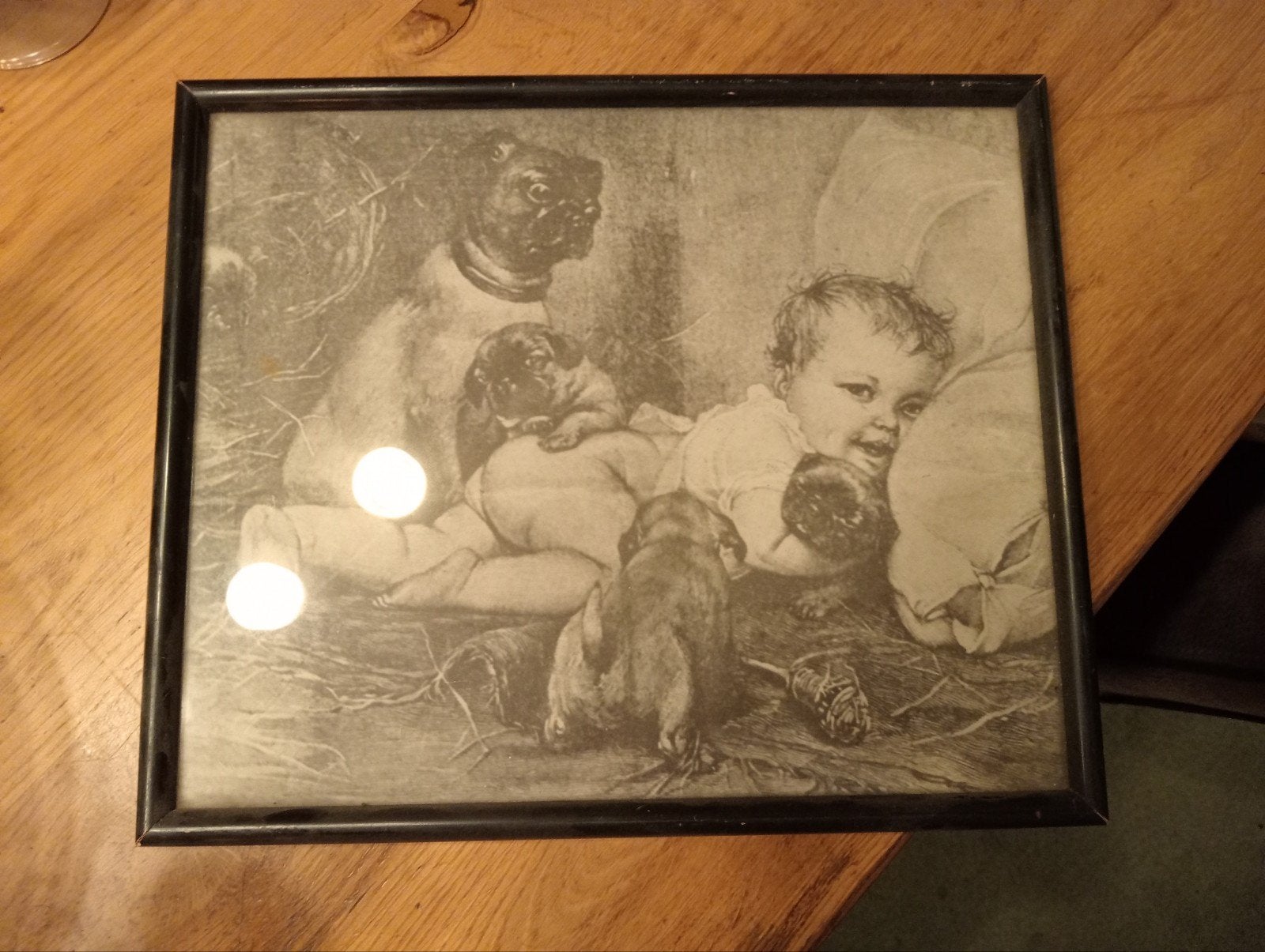 Baby met Mopshonden in lijst, Antiek en Kunst, Ophalen of Verzenden, Print, Prent, Achter glas