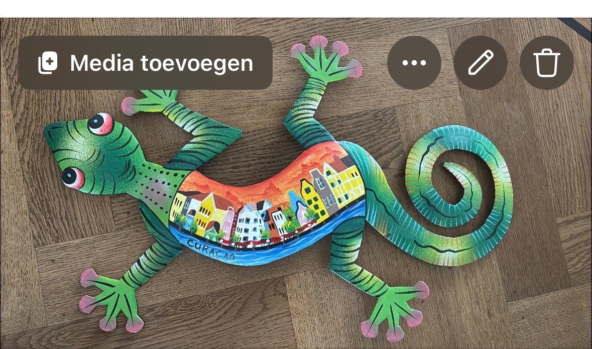 Kleurrijke hagedis wanddecoratie Curaçao, Meerkleurig, Overige stijlen, Ophalen of Verzenden, Zo goed als nieuw