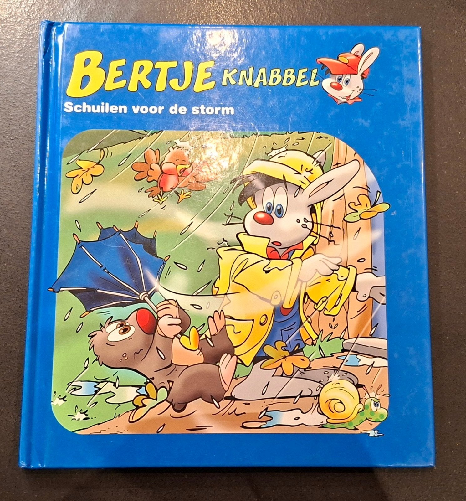 Bertje Knabbel - Schuilen voor de storm (Zo goed als nieuw), Boeken, Ophalen of Verzenden, Zo goed als nieuw
