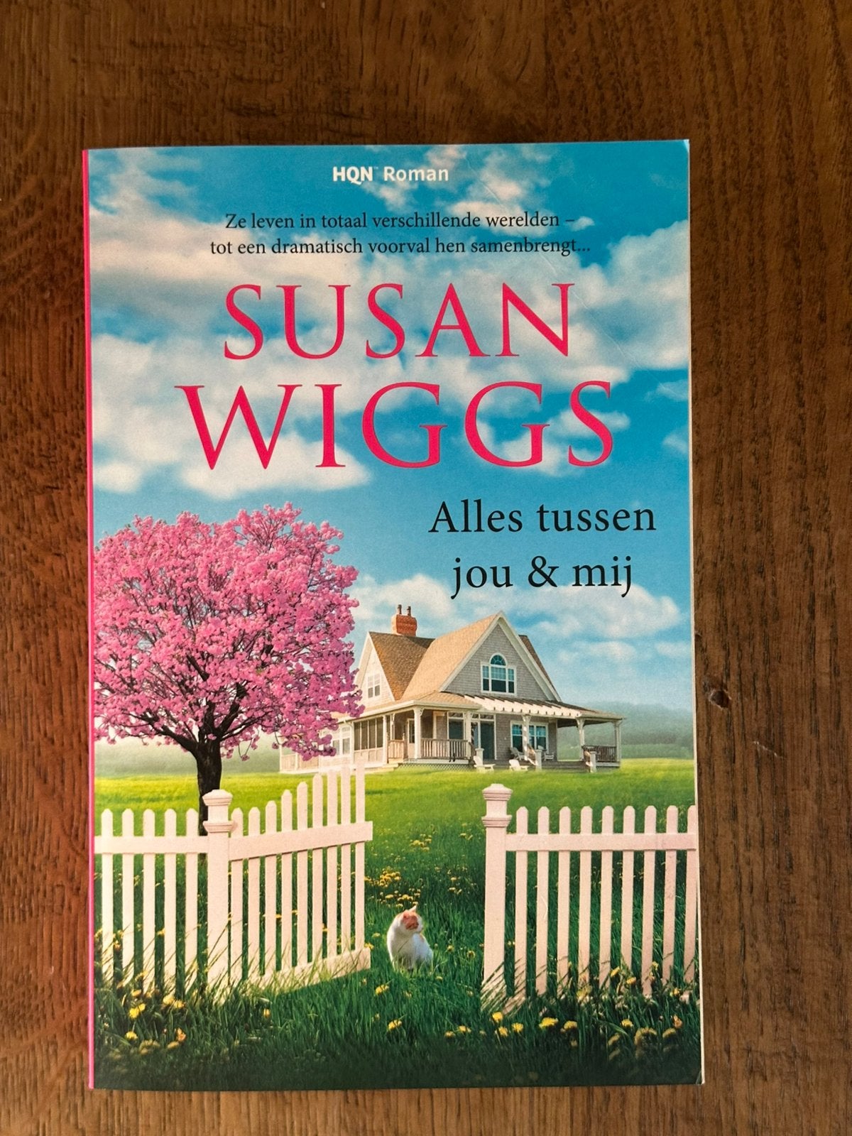 Susen Wiggs - Alles tussen jou en mij, Ophalen of Verzenden, Gelezen