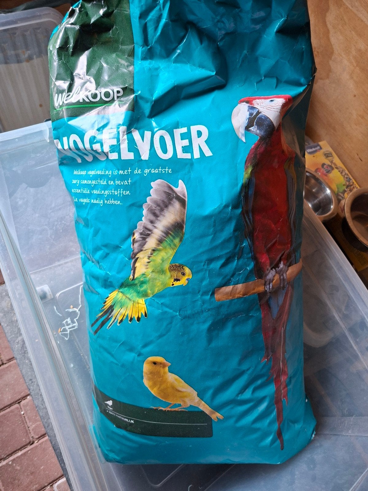 grof vogelzaad, Dieren en Toebehoren, Geslacht onbekend, Tropenvogel