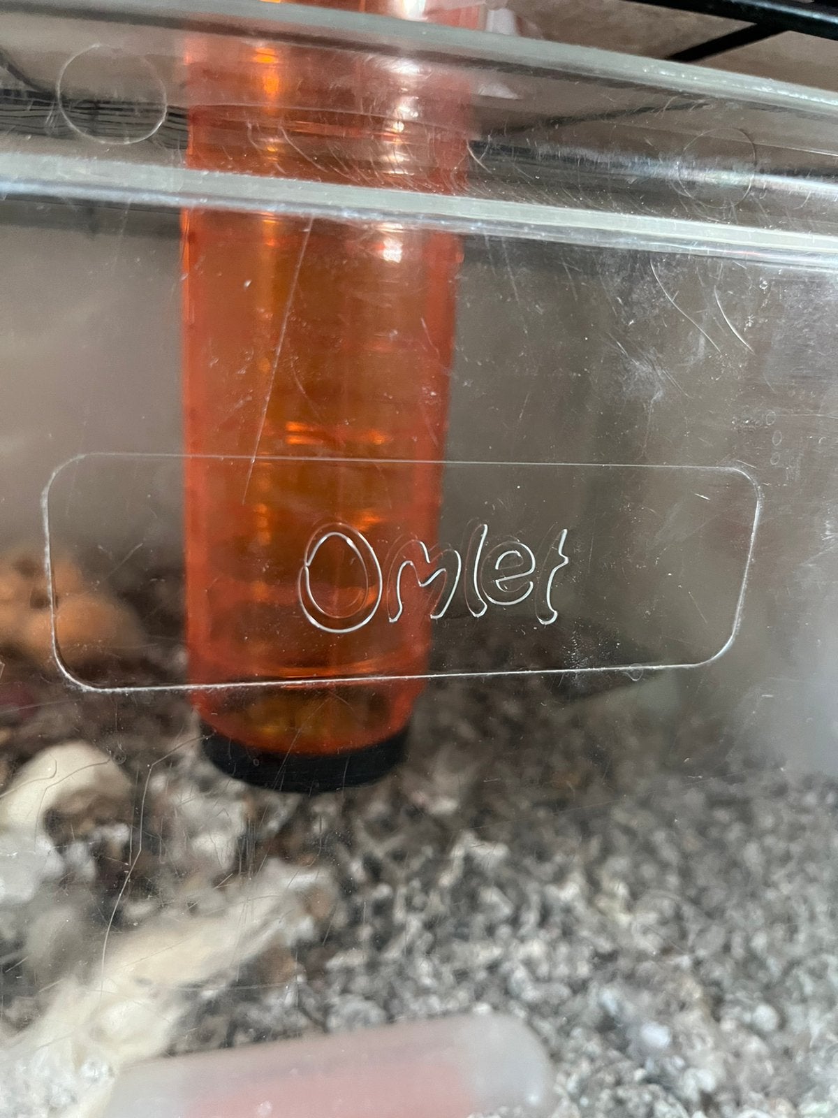 Omlet hamsterkooi, Kooi, Minder dan 75 cm, Zo goed als nieuw, Ophalen