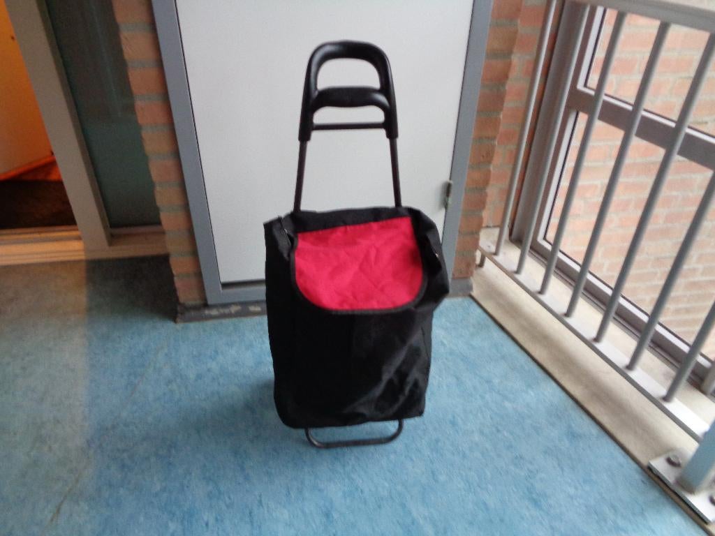 Boodschappen wagentje, Wieltjes, 30 cm of meer, Ophalen of Verzenden, Zo goed als nieuw