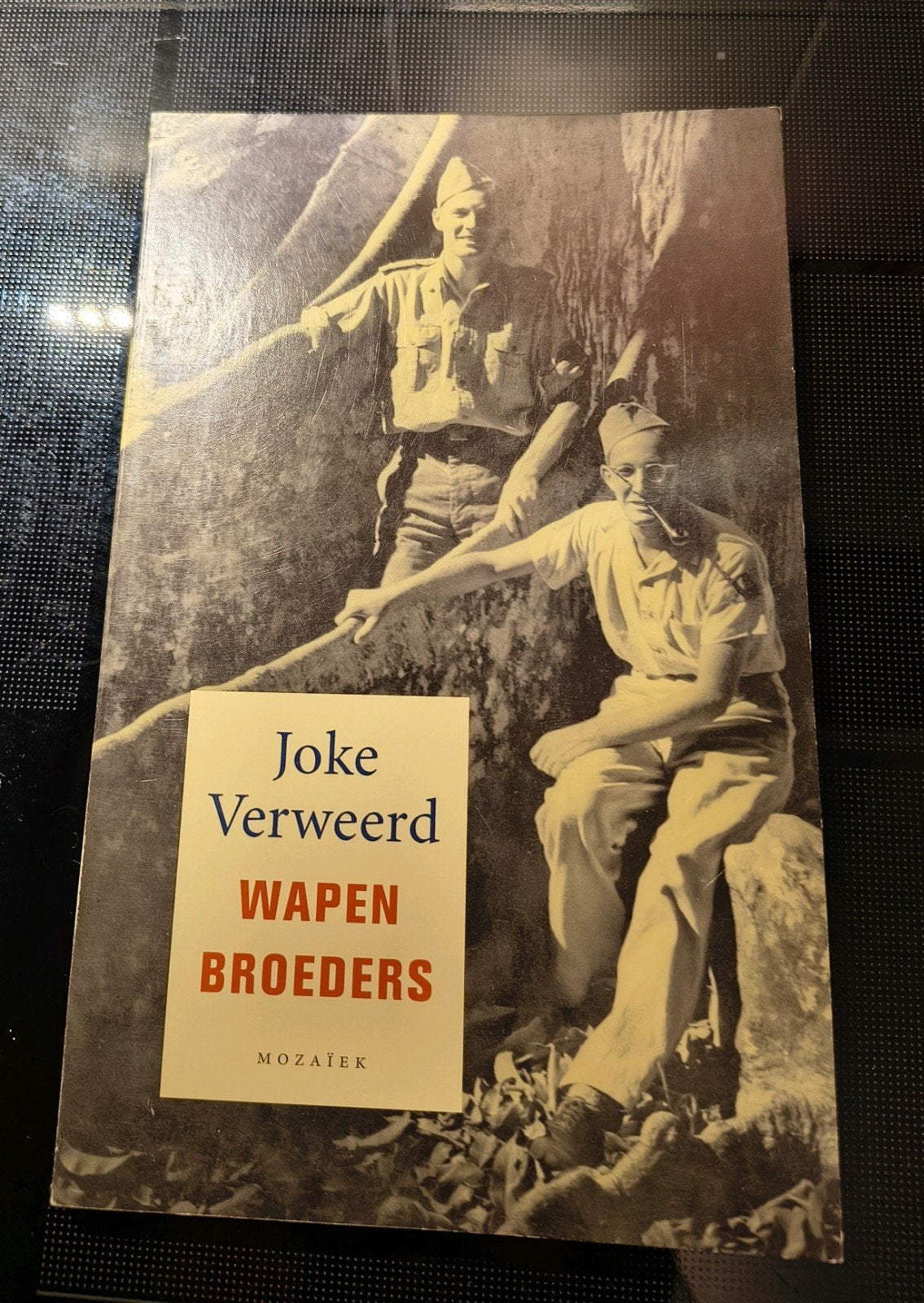 Wapenbroeders, Joke Verweerd, Ophalen of Verzenden, Gelezen