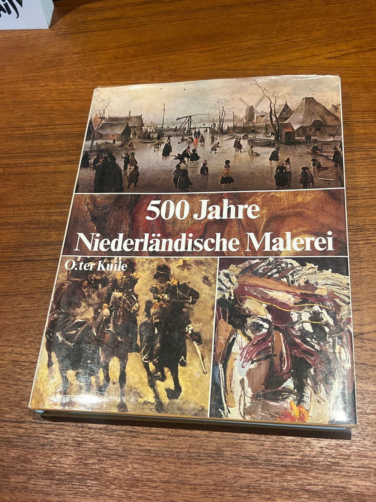500 Jaar Nederlandse Schilderkunst - O. ter Kuile, Boeken, Ophalen of Verzenden, Gelezen, Schilder- en Tekenkunst