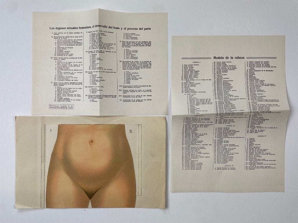 Oud boekje zwangere vrouw uitvouw met plaatjes, Boeken, Ophalen of Verzenden, Gelezen, Zwangerschap en Bevalling
