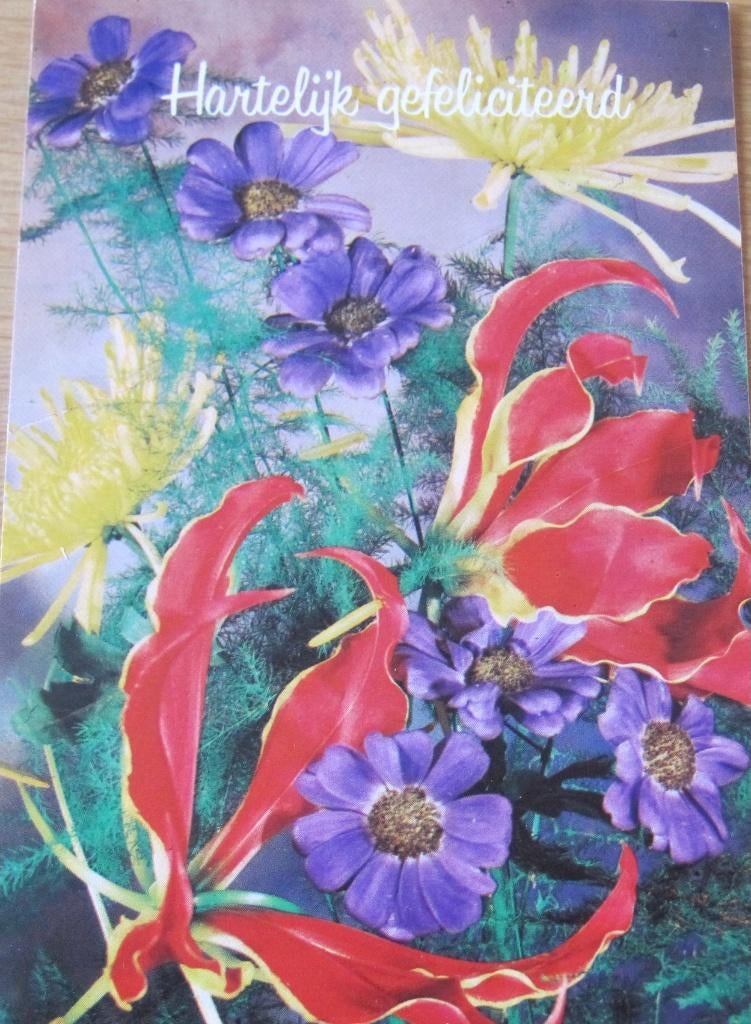hartelijk gefeliciteerd - boeket paarse gele en rode bloemen, Verzenden, 1960 tot 1980, Ongelopen, Overige thema's