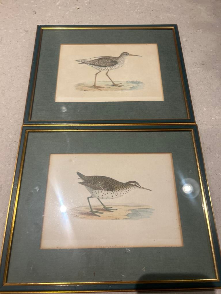 Twee ingelijste vogel prenten, Antiek en Kunst, Ophalen of Verzenden