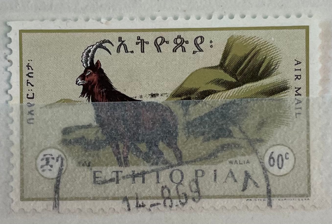 Postzegel Ethiopië; dier, Ophalen of Verzenden, Overige landen, Gestempeld