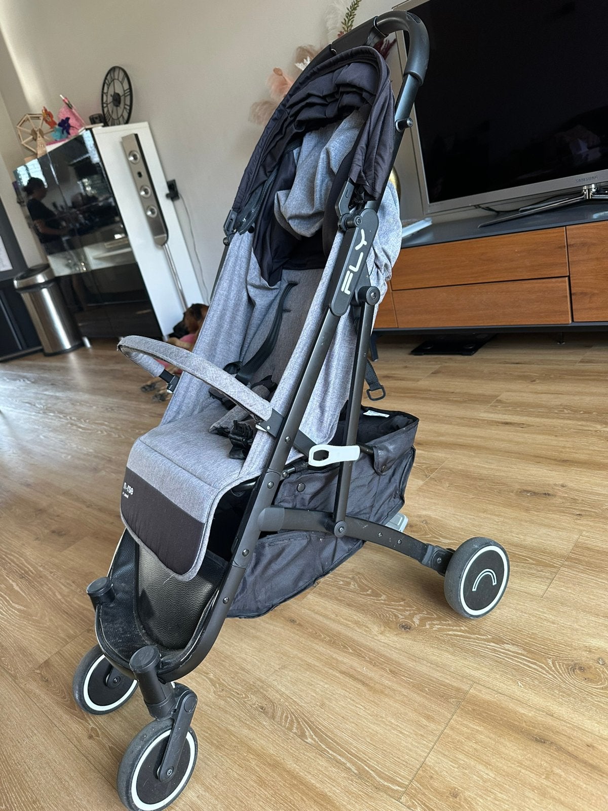 Reis buggy (handbagage), Kinderen en Baby's, Ophalen of Verzenden, Zo goed als nieuw