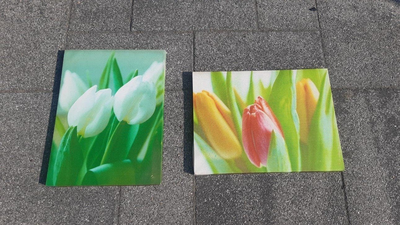 GRATIS 2x klein tuin canvas schilderij met tulpen, Ophalen, Gebruikt