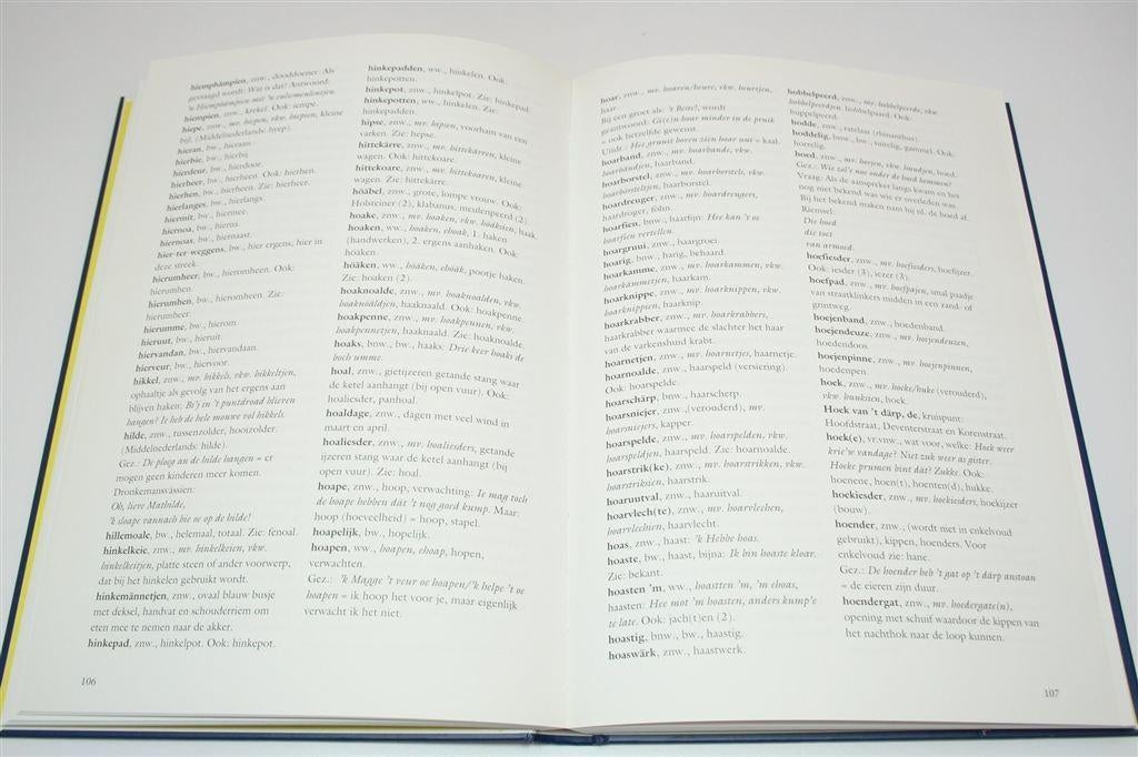 Apeldoorne — Woord veur Woord [Apeldoorns Dialect], Boeken, Ophalen of Verzenden, Zo goed als nieuw