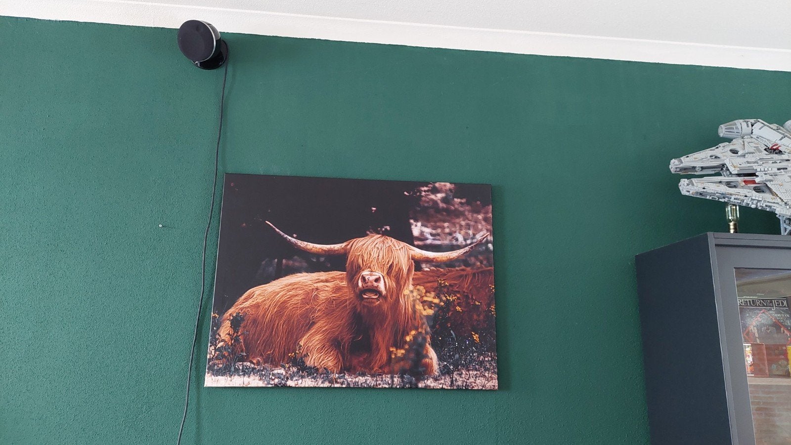 Prachtig canvas Schotse hooglanders 75 x 100 cm, Ophalen, Print