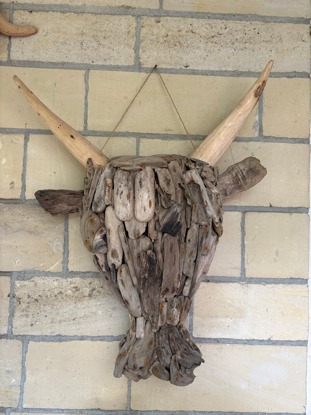 Unieke Drijfhout Wanddecoratie: Stierenkop, Ophalen, Wandsculptuur, Gebruikt, Hout