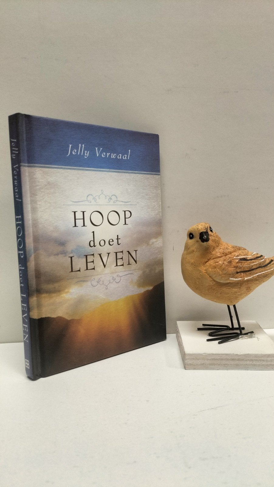Verwaal, Jelly; Hoop doet leven, Boeken, Ophalen of Verzenden, Gelezen, Christendom | Protestants