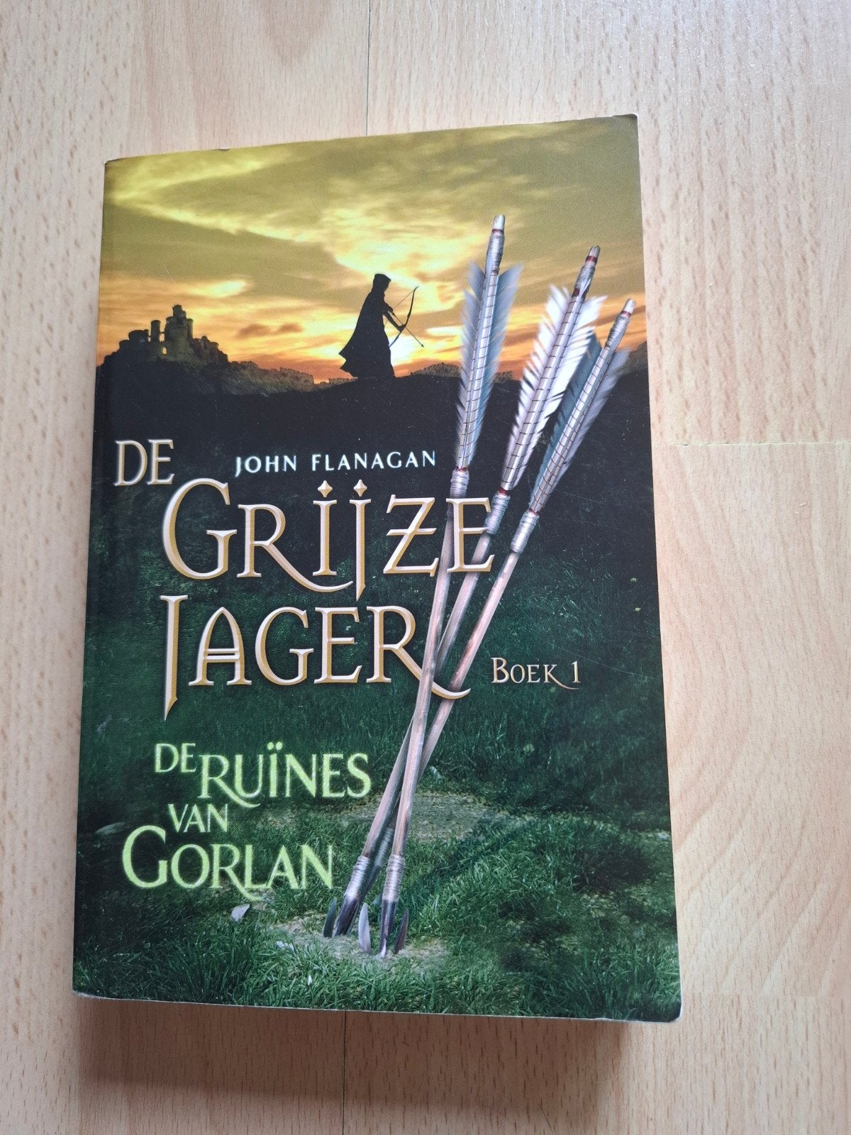 John Flanagan de grijze jager boek 1, Ophalen of Verzenden