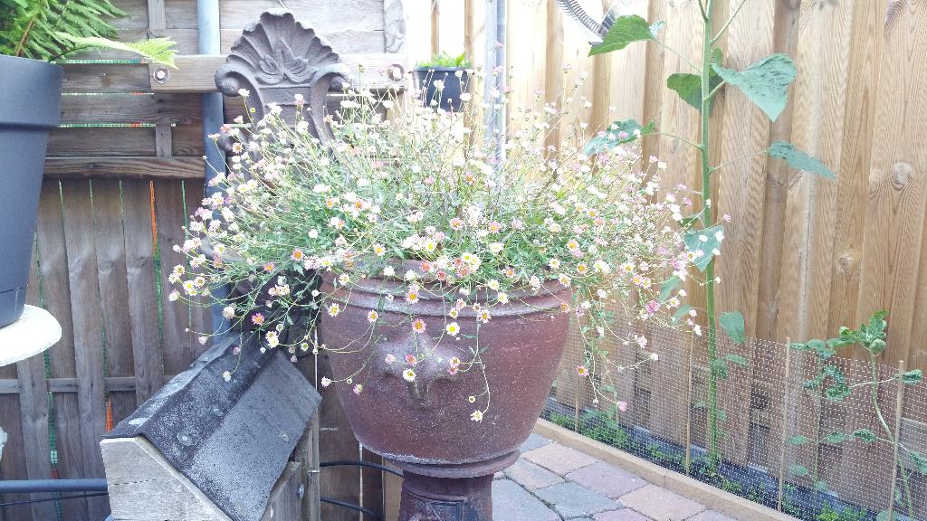 Fleur de Lis 3 stuks degelijk zwaar aardewerk!, Tuin en Terras, Rond, Zo goed als nieuw, Minder dan 40 cm, Balkon