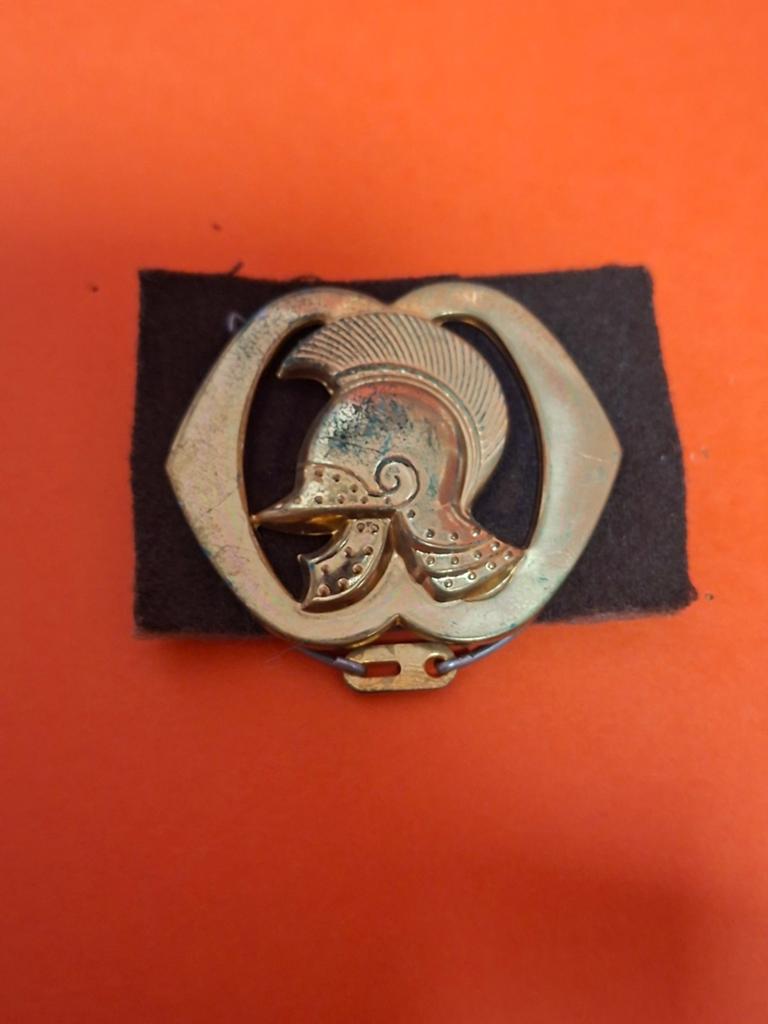 Embleem Genie Troepen Landmacht, Ophalen of Verzenden, Landmacht, Nederland, Embleem of Badge