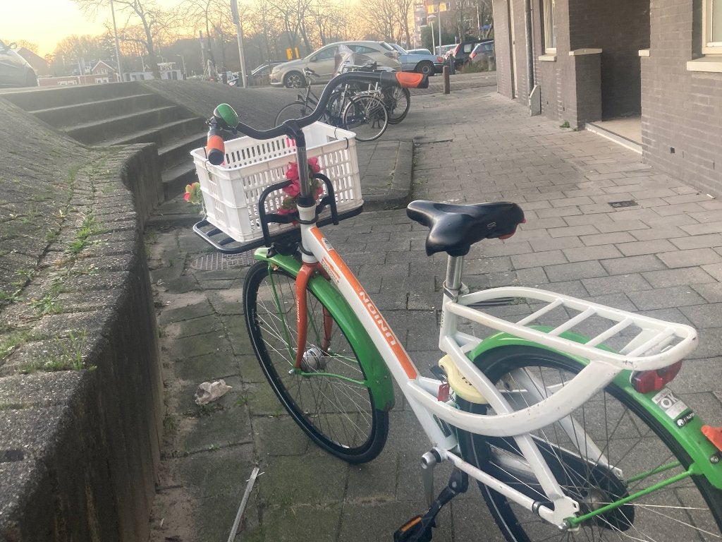 Postcode Loterij Fiets, Fietsen en Brommers, Terugtraprem, Gebruikt, 50 tot 53 cm, Ophalen