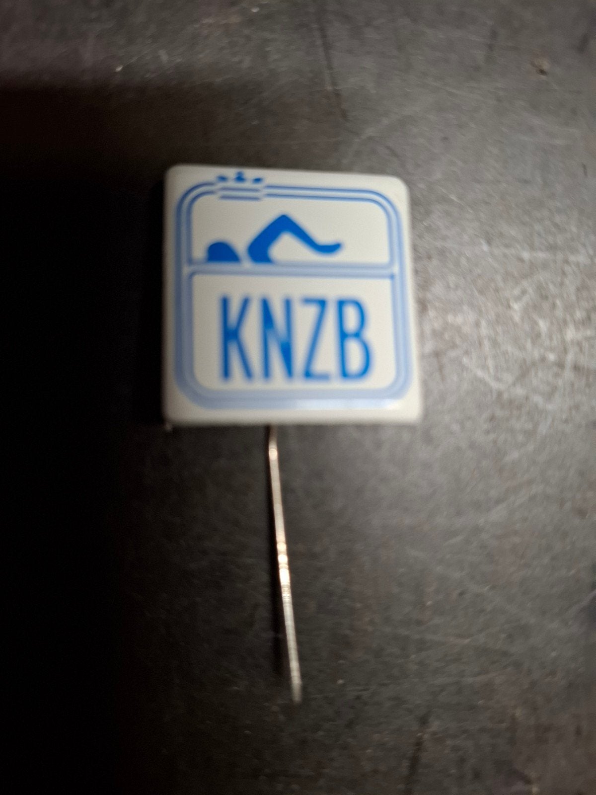 Vintage KNZB Zwemspeldje - Koninklijke Nederlandse Zwembond, Ophalen of Verzenden, Gebruikt