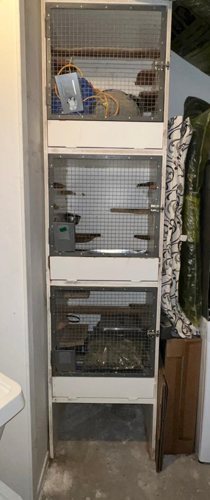3er kooi kast, Ophalen, Kooi, Gebruikt, Minder dan 75 cm