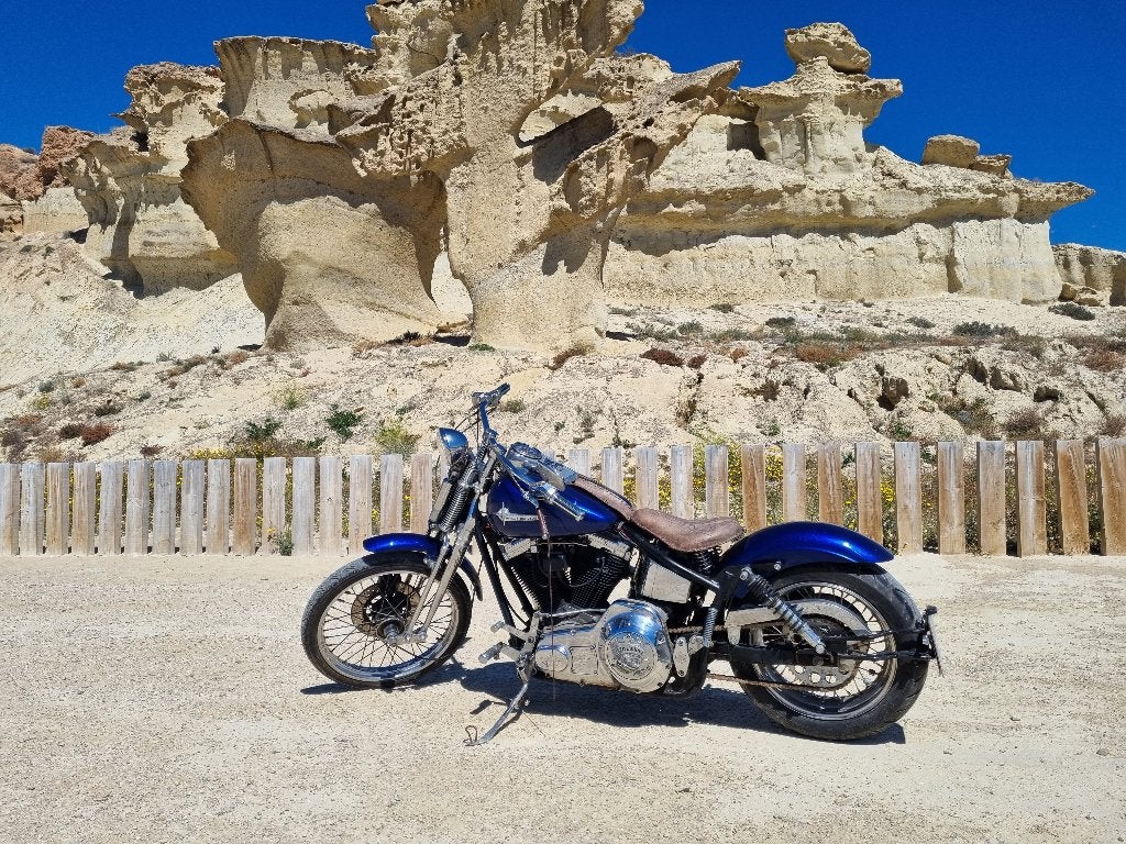 Harley Davidson incl aanhanger  (Spanje vs Nederland), 2 cilinders, 1340 cc, Gebruikt, Particulier