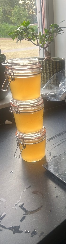 Water kefir starter, Ophalen