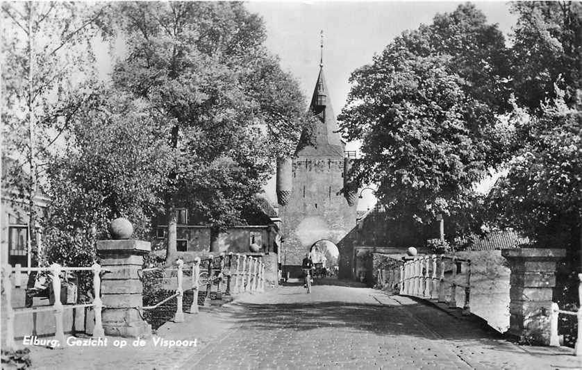 380-231-005 Elburg Vispoort, Verzenden, Voor 1920, Gelderland