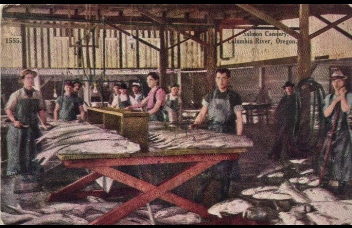 Salmon cannery Columbia river Oregon USA, Verzamelen, Verzenden, Gebruikt, Kaart, Foto of Prent
