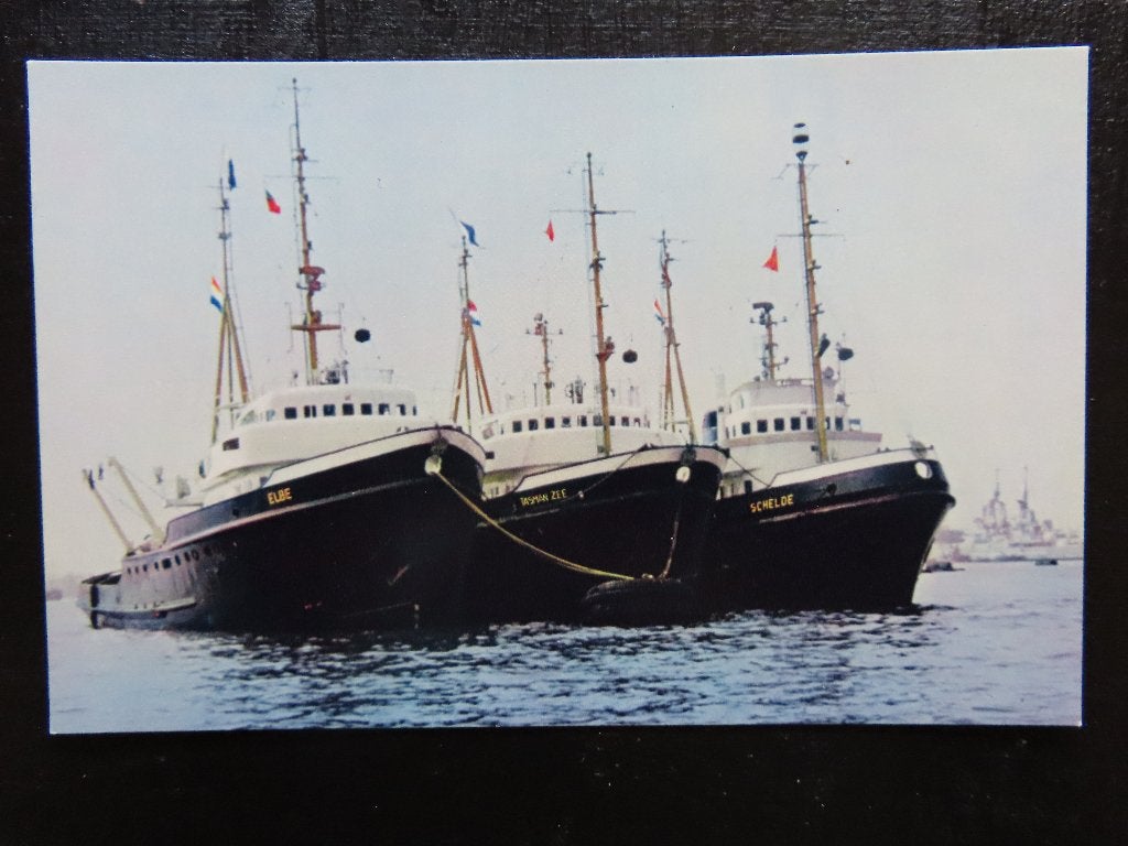 ansichtkaart sleepboten "Elbe / Tasman zee ? Schelde", Ophalen of Verzenden, Gebruikt, Motorboot, Kaart, Foto of Prent