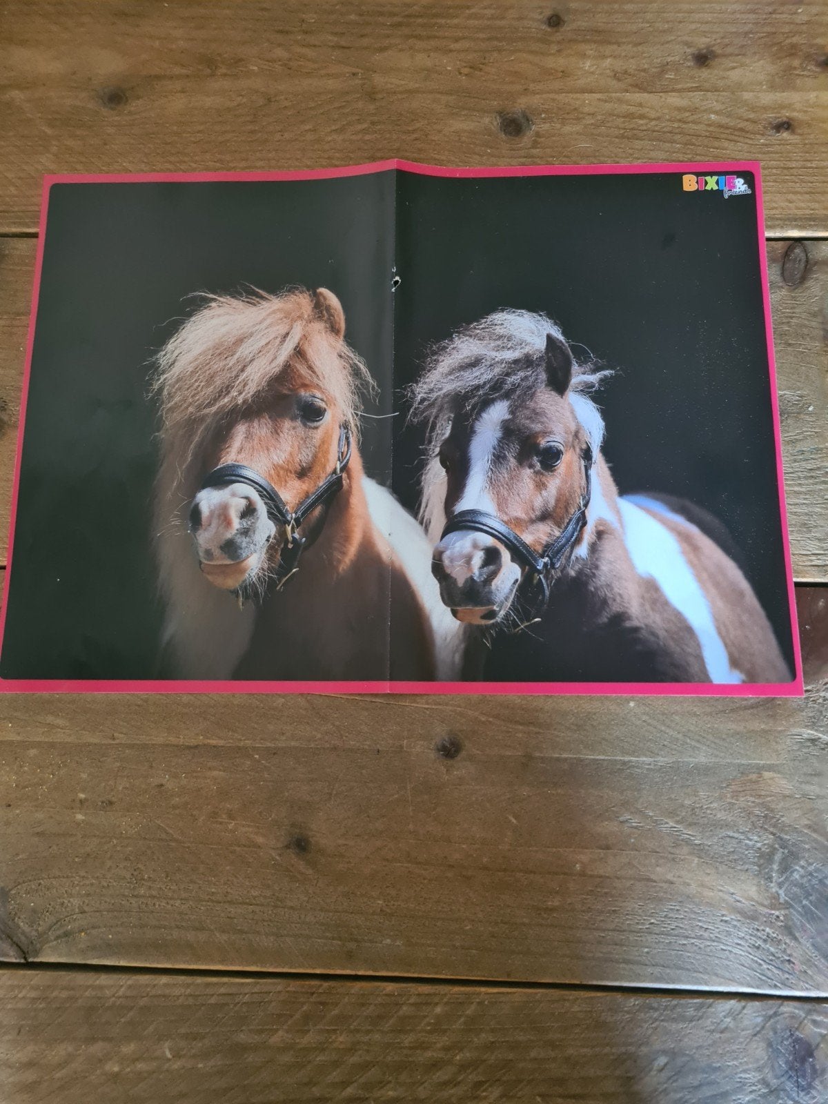 Bixie&friends paarden posters, Ophalen, A4 of kleiner, Rechthoekig Liggend, Nieuw